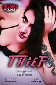 Thief 2021 DreamsFilms