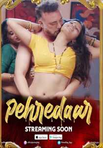 Pehredaar 2022 PrimePlay Season 1 Episode 3 To 4 Hindi